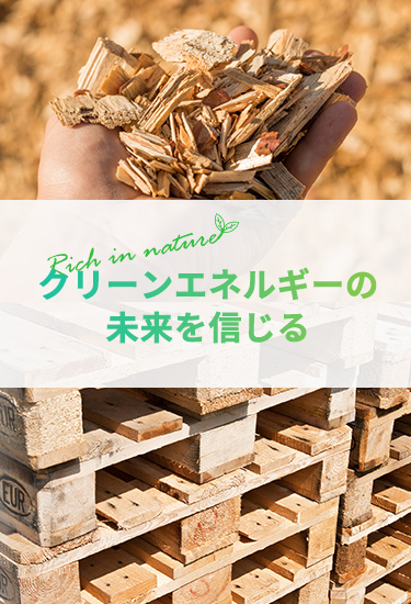 園芸用のウッドチップ　軽トラに一杯、詰めるだけ ウッドチップ 販売
